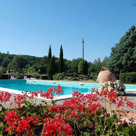 Fattoria Antognoni Villa Reggello Exterior foto